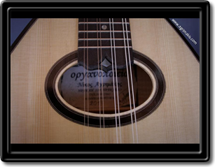 Flatback mandolin